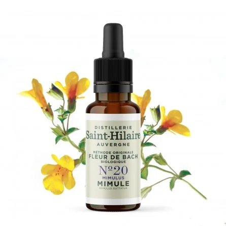 Fleur de bach mimule n°20 bio (mimulus) - 1