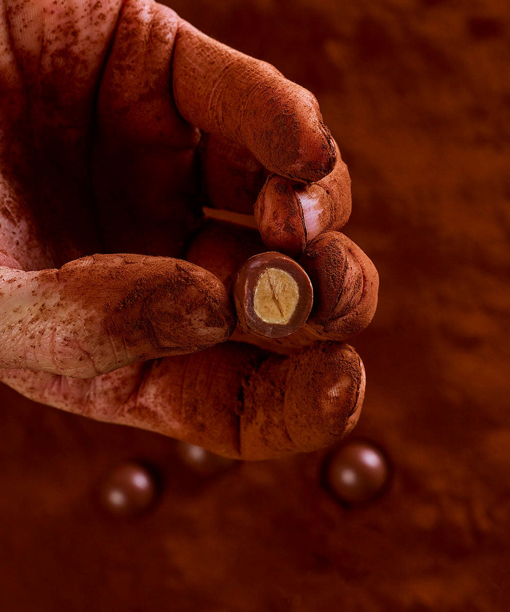 Noisettes chocolat au lait bio - 3